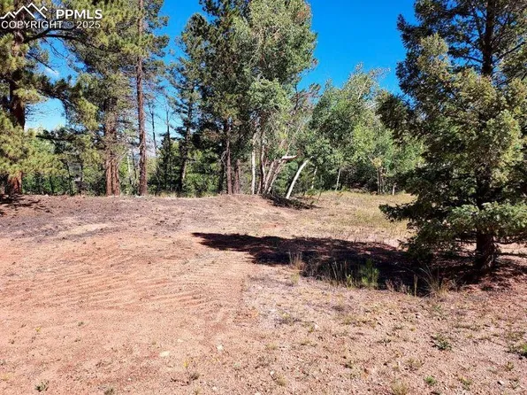 1763 County Road 421, Florissant, CO 80816