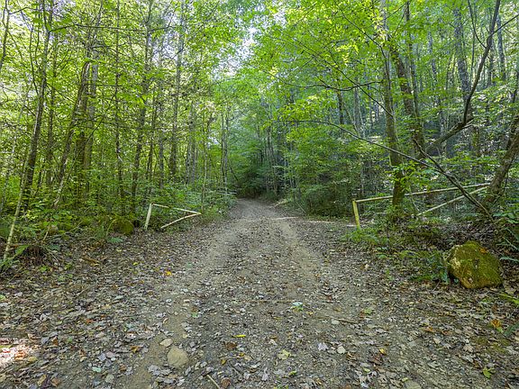 2nd image of Tree House Rd