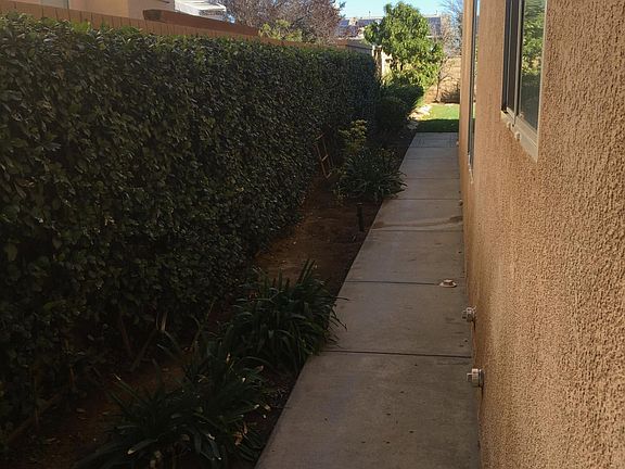Side Walkway to back yard with trash bin storage area 