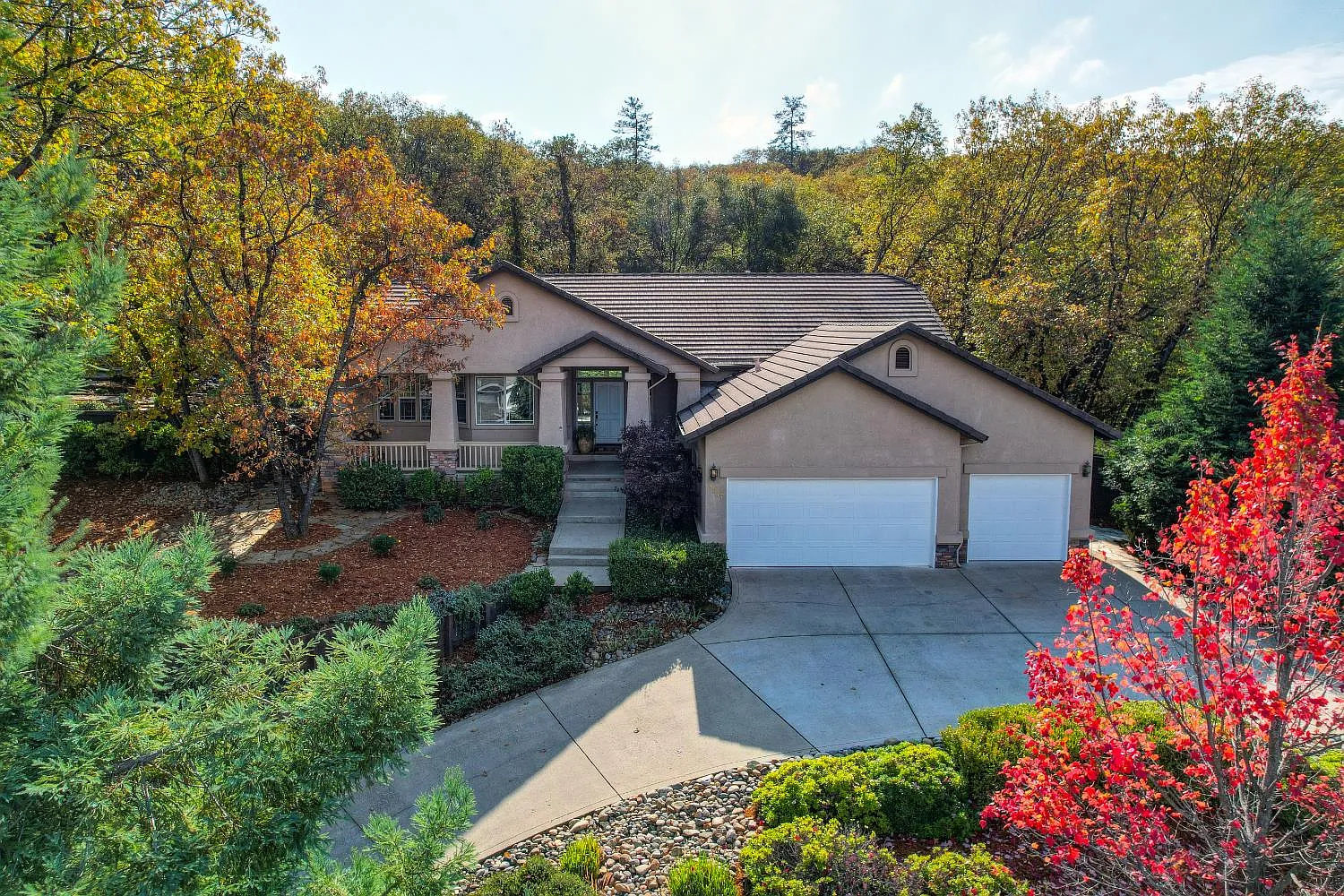 3377 Chasen Dr photo 1
