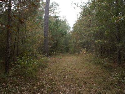 7031 Springfield Rd #1, Sparta, GA, 31087