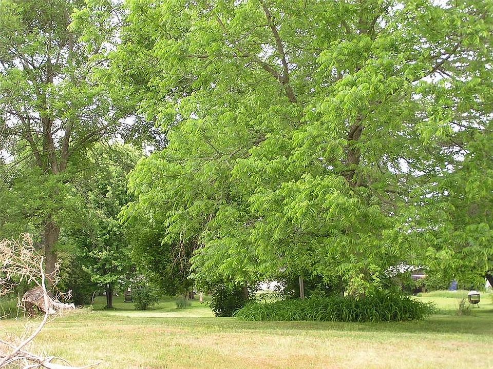 2nd image of 916 E 4th Street