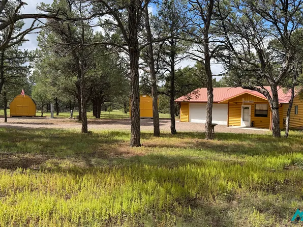 227 El Caso Rd, Quemado, NM 87829