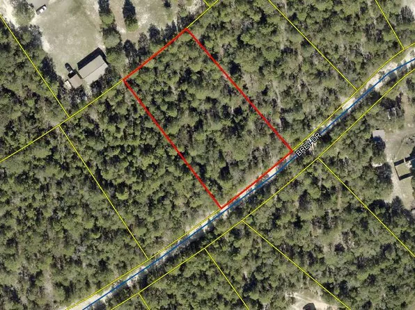21 Bret Dr, Defuniak Springs, FL 32433