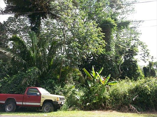 1st image of Heepali St Lot 22