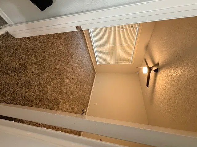 Bella Vista — Photo 4