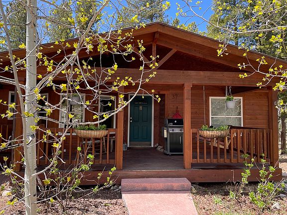 Front walk and porch