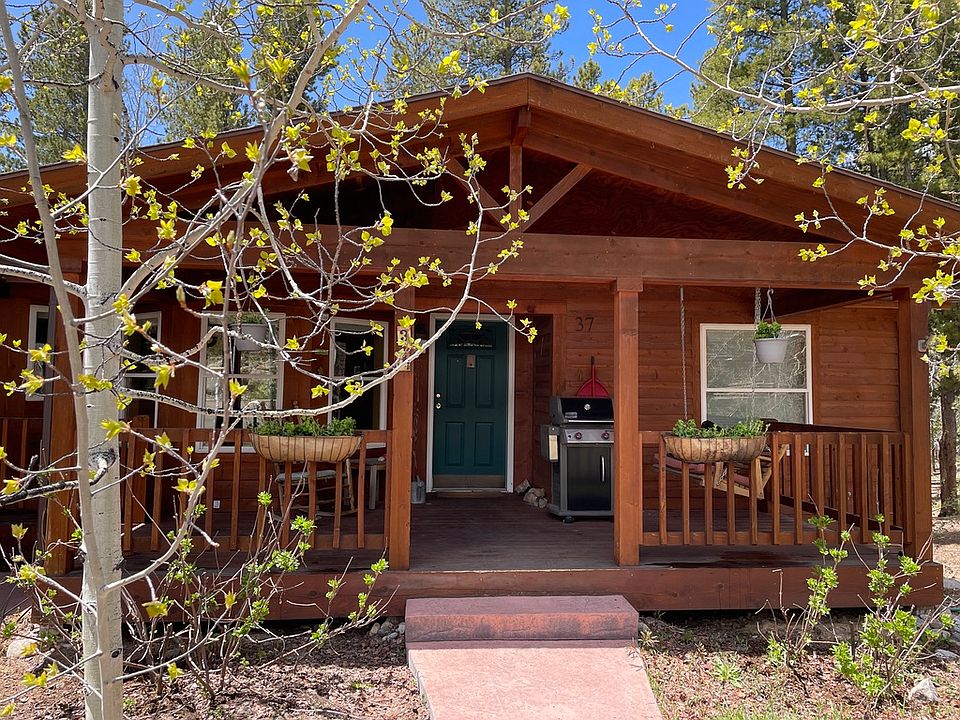 Front walk and porch