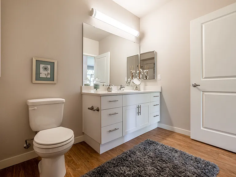 Model Home Bathroom