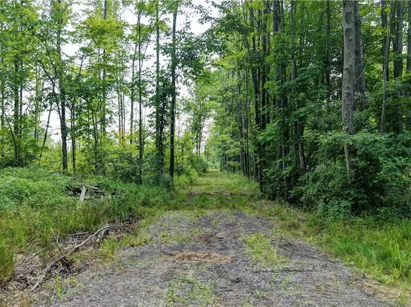 0 Bushnell Campbell Rd, Kinsman, OH 44428