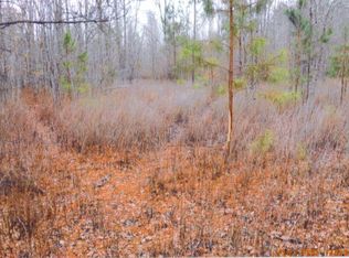 0 American Ave, Turbeville, SC 29162