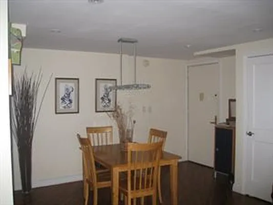 Rented by Douglas Elliman | media 49