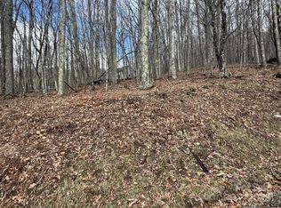 344 Tearshirt Ln, Mars Hill, NC 28754