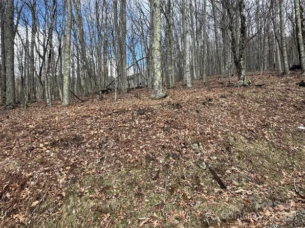 344 Tearshirt Ln, Mars Hill, NC 28754