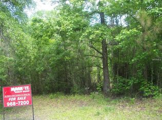 10122 Shalimar St, New Port Richey, FL 34654