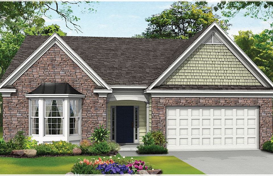 Elevation Image 1.