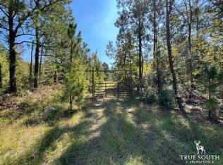 499 Smith Chapel Rd, Adrian, GA 31002