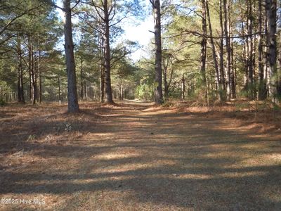 1244 Arn Ward Road, Whiteville, NC, 28472