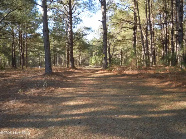 1244 Arn Ward Road, Whiteville, NC 28472