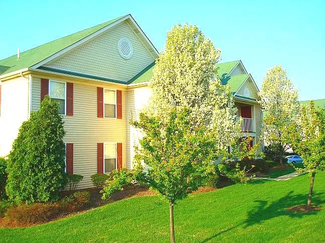 2 bed, 1000 sqft, $1,500 — Photo 2