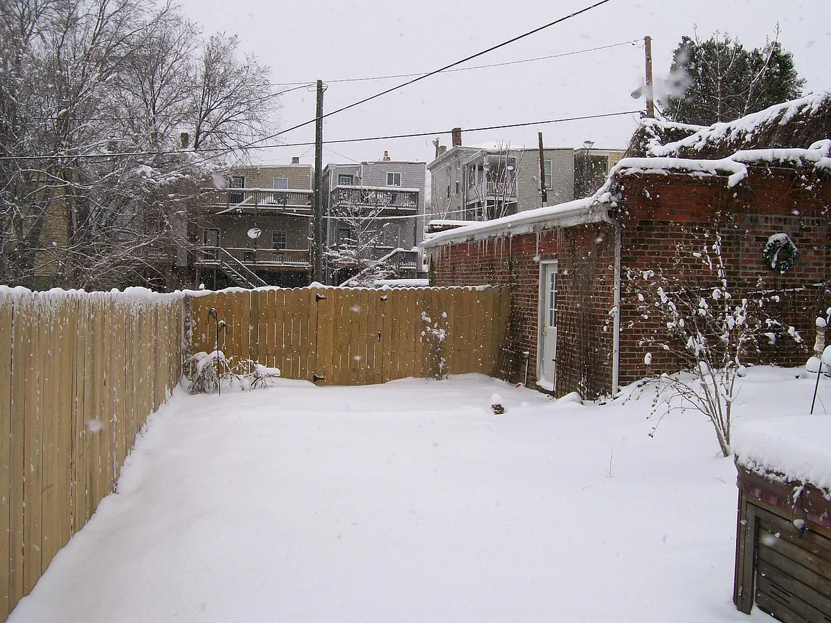 back yard - 2110 E Broad St