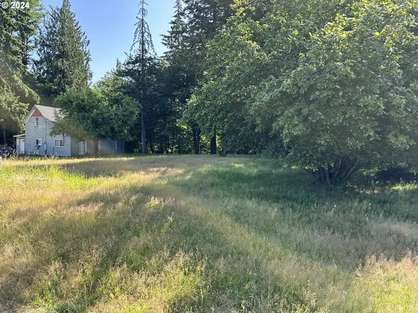 Shannon Lewis Ln, Winlock, WA 98596