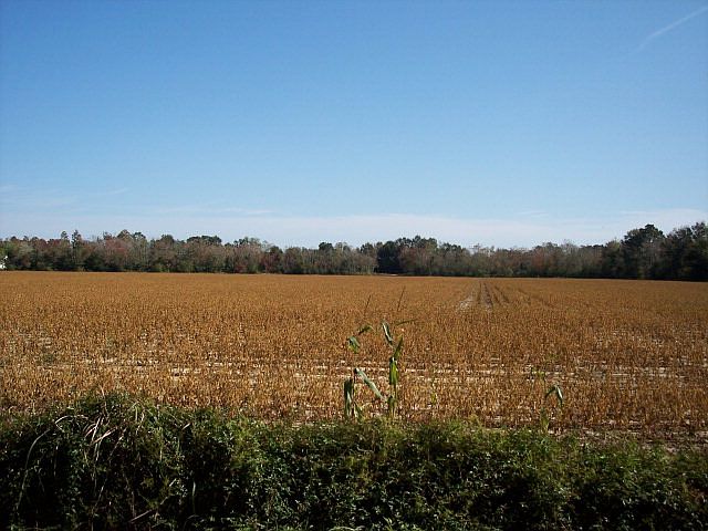 2nd image of 9000 McCollough Rd