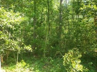 0 Aaron Ln, Summerville, SC 29485