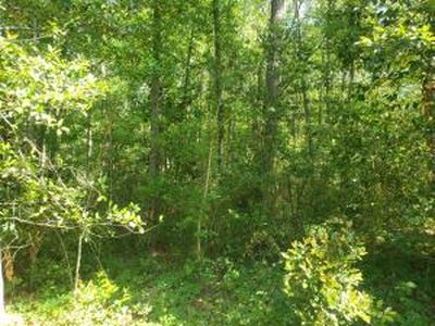 0 Aaron Ln, Summerville, SC, 29485