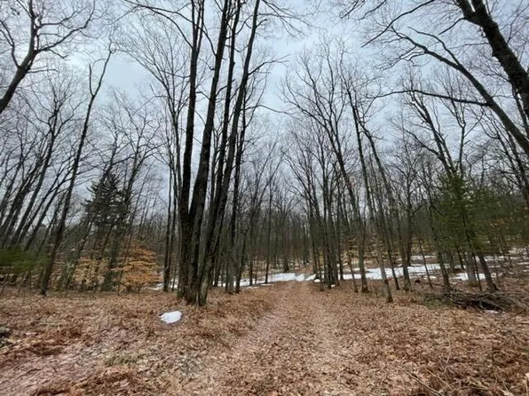 E 64th St, Chase, MI 49623