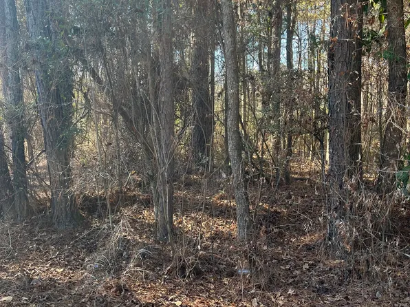 0 Drayton Loop, Vienna, GA 31092