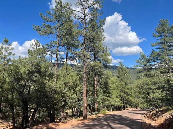 LOT 157 Portal Dr, Pine, AZ 85544