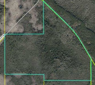 1519 SW Wabasso Ter, Greenville, FL, 32331