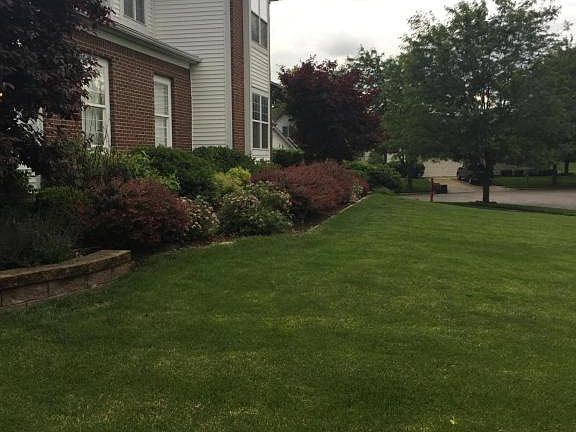 5th image of 11 Burreed Ct