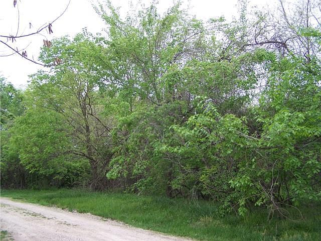 2nd image of Red Brush Rd