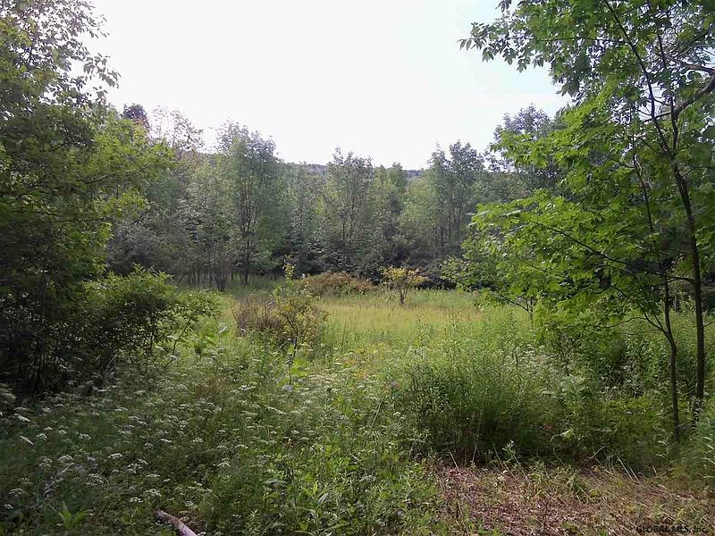 2nd image of 0 DEBAR HILL Road