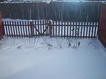 2nd image of 37320 Matthew Ct