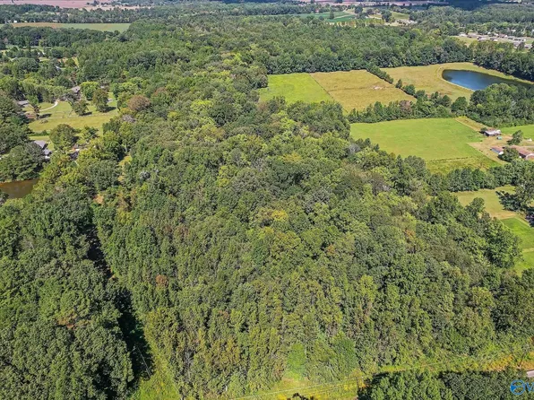 LOT 33 Ready Section Rd, Toney, AL 35773