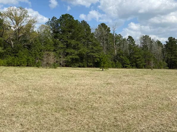 Sycamore Road E Side, Big Sandy, TX 75755