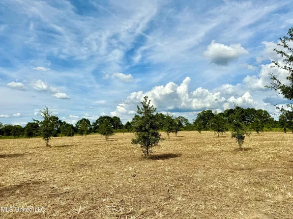 8 Windermere Blvd, Madison, MS 39110