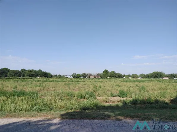 Mission Ave #1601, Carlsbad, NM 88220