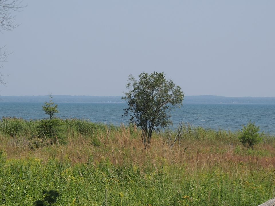1st image of Tbd Nahma Shrs