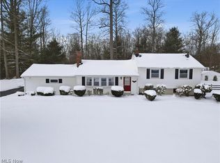 13394 Hickory St, Chesterland, OH 44026