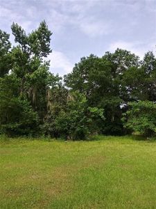 Thomas Ave, Osteen, FL, 32764