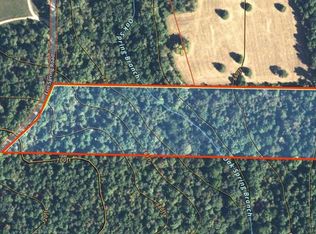 TRACT 2 Carter 327, Ellsinore, MO 63937