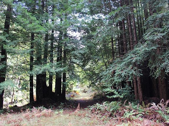 5th image of 1800 Joy Ridge Road