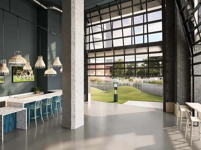 Indoor and Outdoor Pet Park and Spa