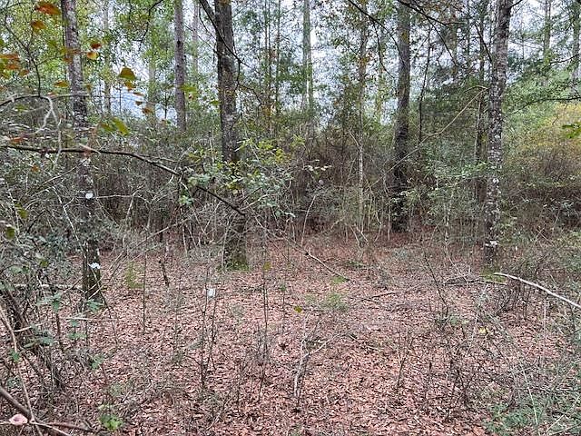 1st image of 0 Rosin Ridge Rd