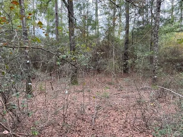 0 Rosin Ridge Rd, Red Level, AL 36474