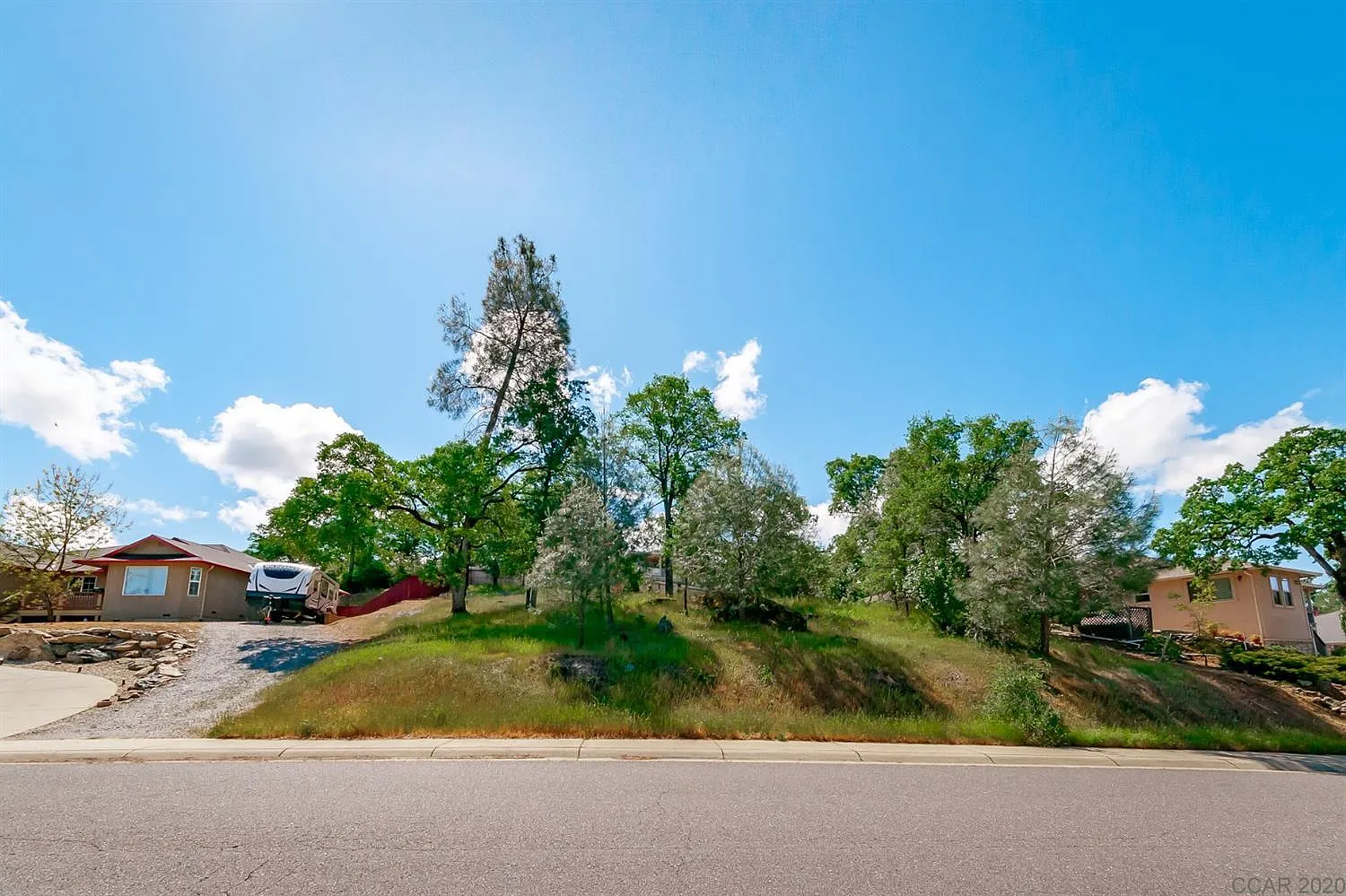419 Live Oak Dr photo 1